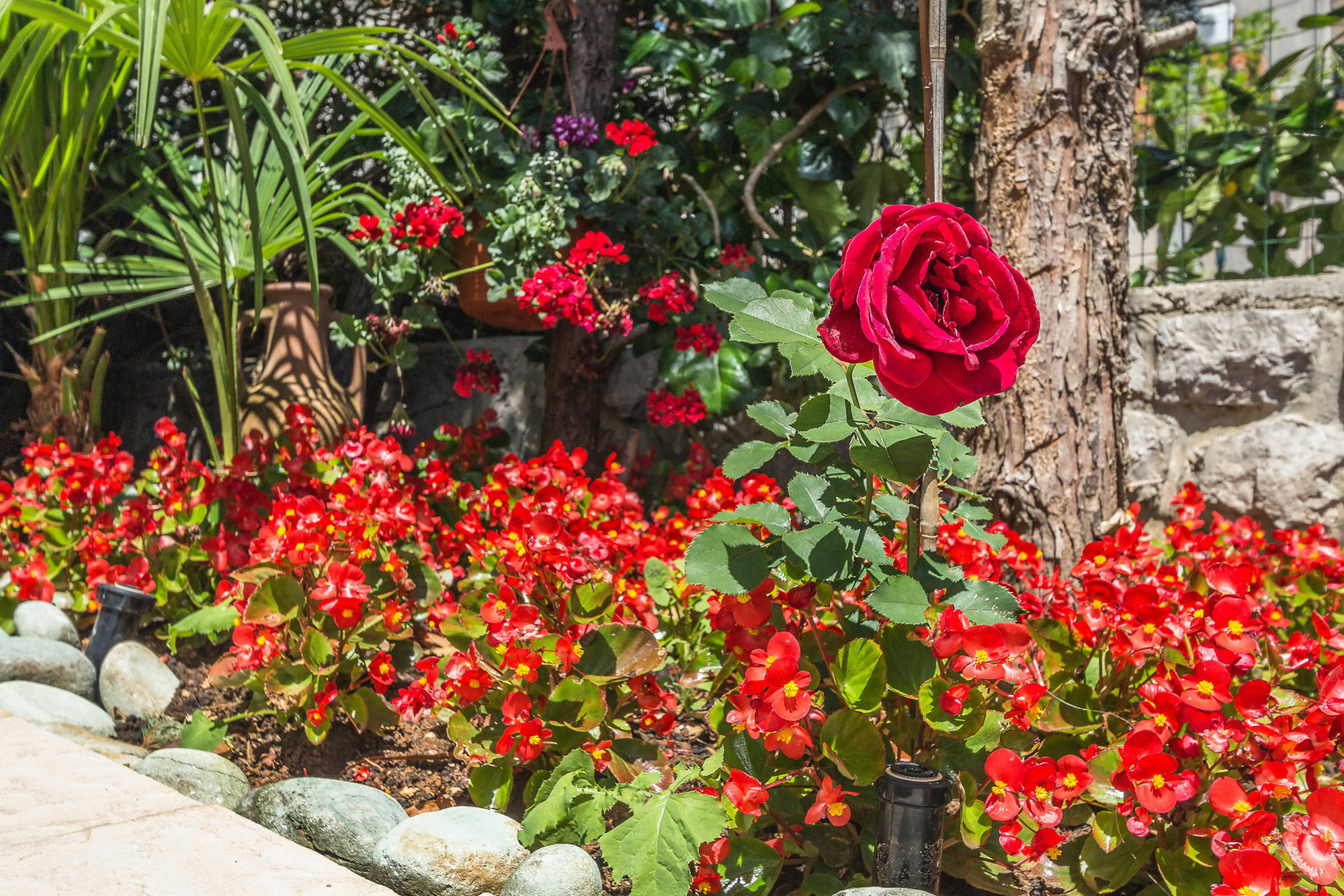 Villa Roses Apartments & Wellness Ičići Kültér fotó
